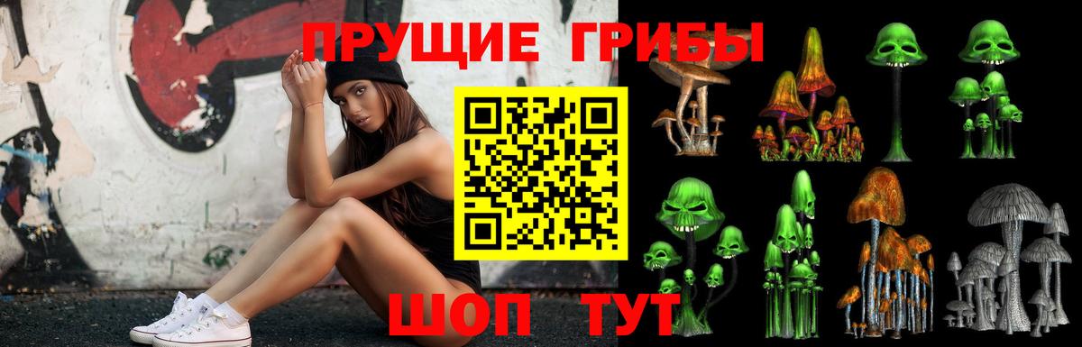Псилоцибиновые грибы Magic Shrooms  Вход с VPN  Строитель 